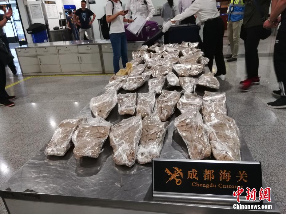 datealive 地铁逃生回归！biubiu免费加速，畅玩海量海内外精品手游