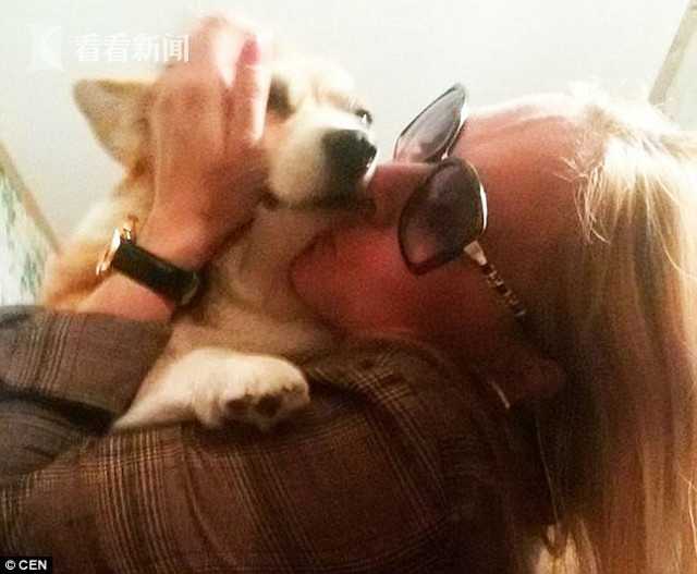 神医毒妃太嚣张第二季