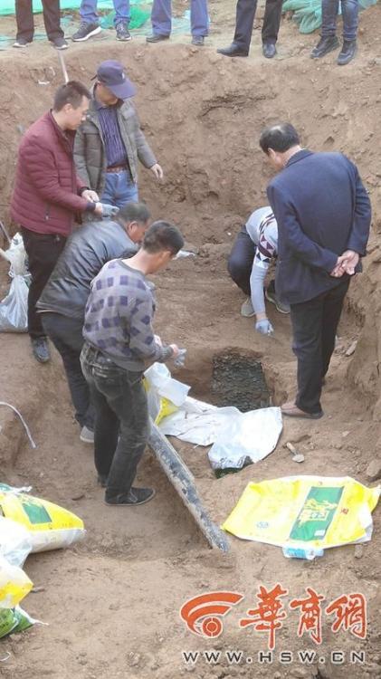 免费漫画阅站官方正版:无广告弹窗,全网漫画免费看