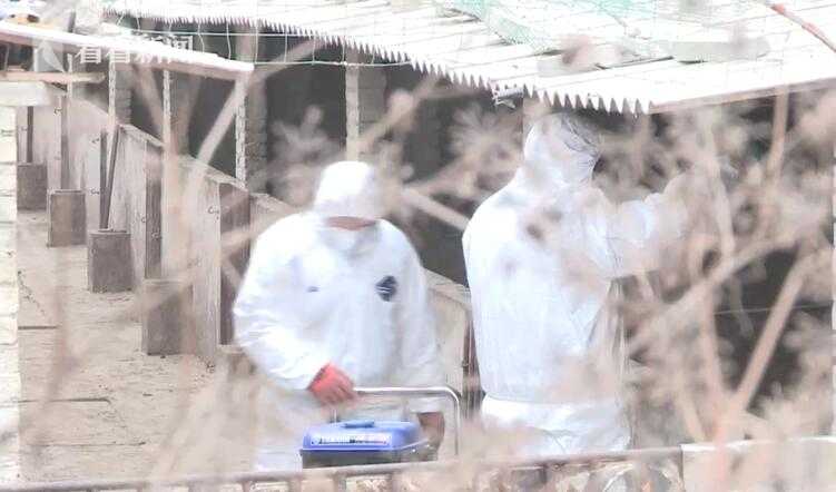 阅站漫画：资源丰富更新快，免费福利多，阅读体验超棒