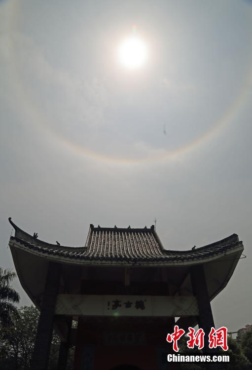 免费漫画阅站app下载安装无广告，畅享丰富漫画资源