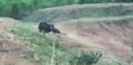 神印王座漫画凯发真人官网