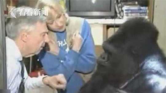 笔趣阁手机版：优质小说阅读软件，类型全且可自由查找