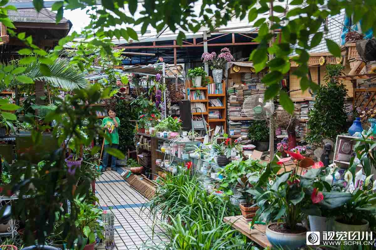 免费在线可阅读漫画成首选，却面临凯发k8国际首页登录的版权等难题待剖析？