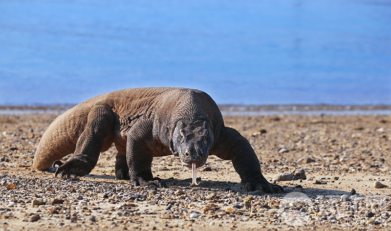 缘之空借兄妹情纠葛引发思索，为何对兄妹恋情描绘引争议？