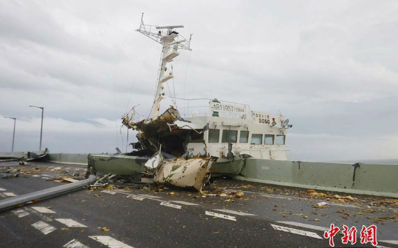 异世界搞笑冒险番为何吸引人？独特设定与反差角色是关键