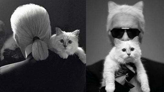 《斗罗大陆》2漫画