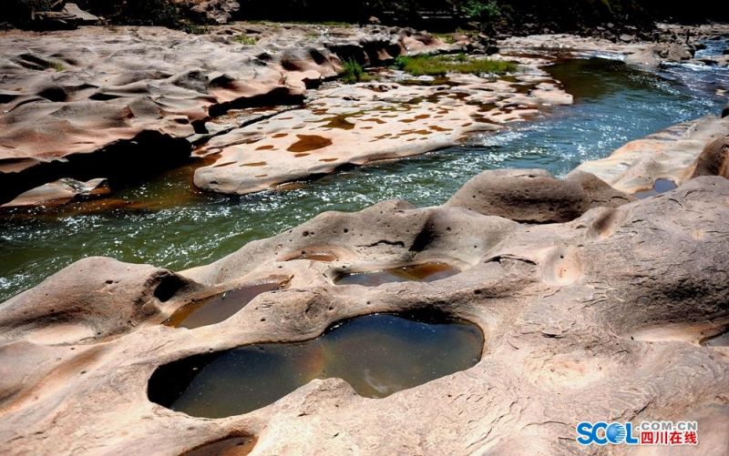 《海贼王第890集》在线观看