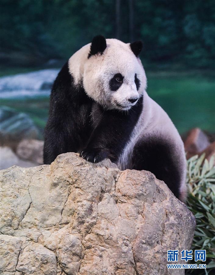 备受关注的死神230模型，设计与工艺究竟有多出色？