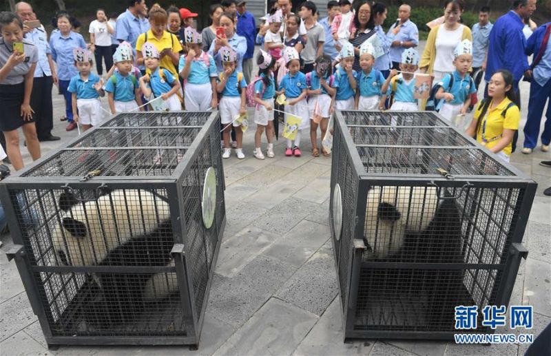 狐妖小红娘小说原著免费阅读全集