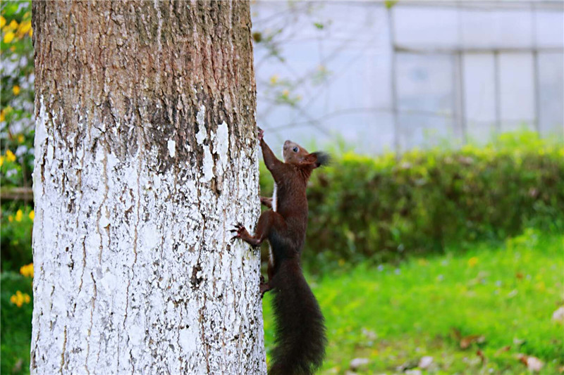 异世界搞笑冒险番为何吸引人？独特设定与反差角色是关键