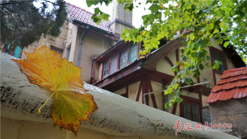 萌师在上下拉式六漫画