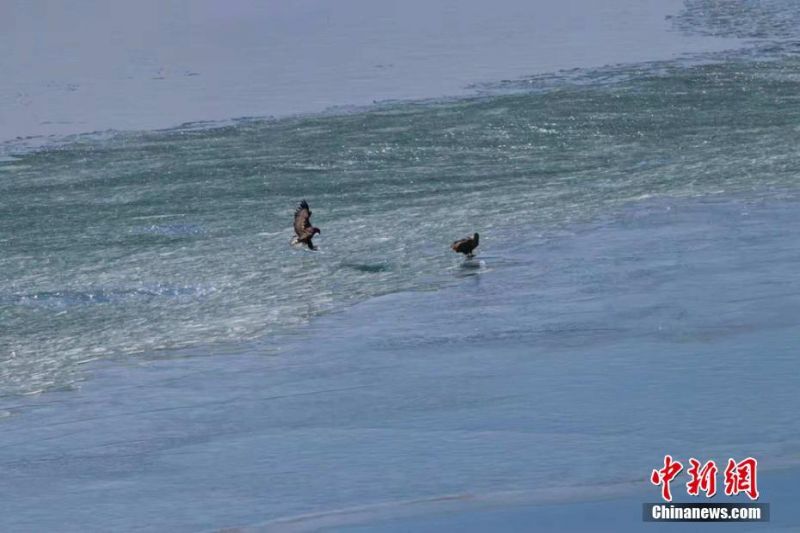 哔哩哔哩隐藏内容怎么找？特殊标签与搜索技巧是关键