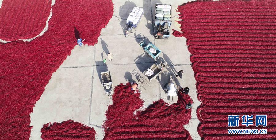 重生大玩家漫画下拉式六漫画