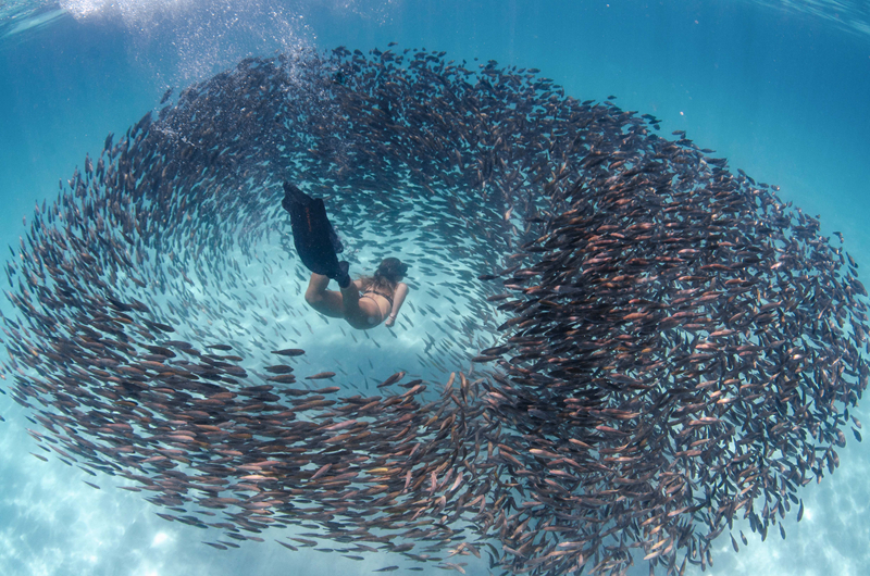 哔哩哔哩隐藏内容怎么找？特殊标签与搜索技巧是关键