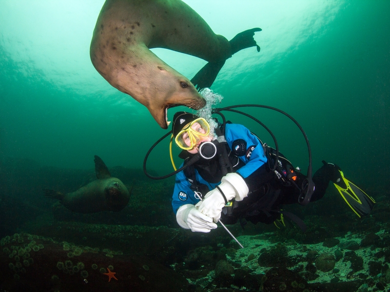 datealive 地铁逃生回归！biubiu免费加速，畅玩海量海内外精品手游