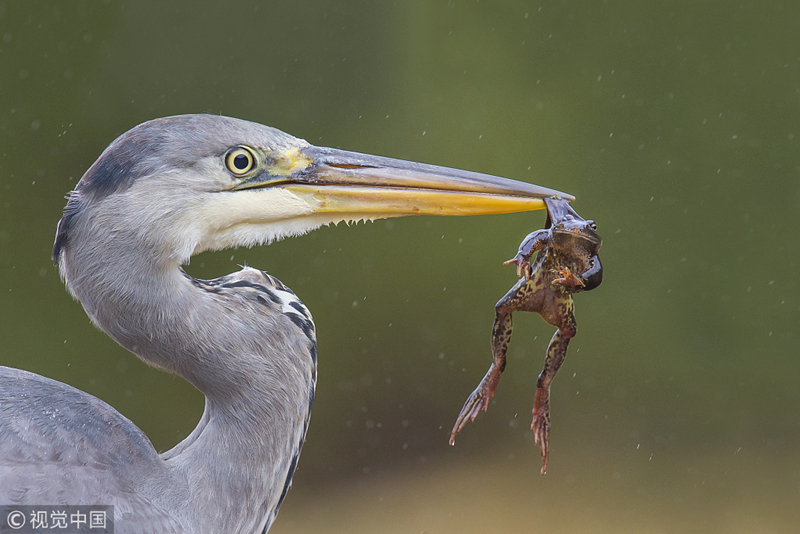 影视作品中万人迷反派为何更吸睛？如何塑造有魅力反派？
