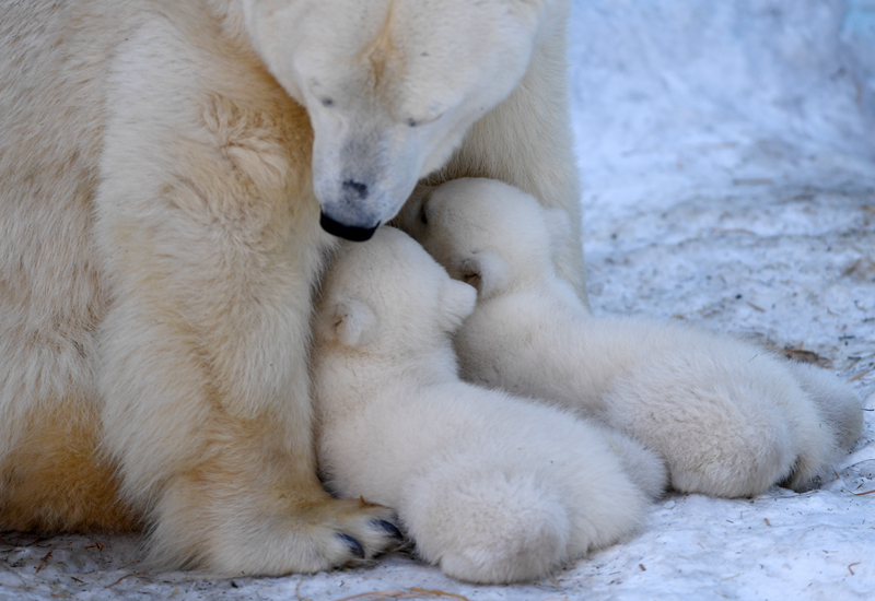 异世界搞笑冒险番为何吸引人？独特设定与反差角色是关键