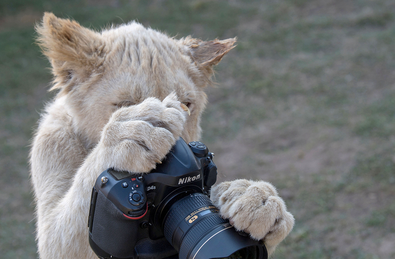 数字阅读普及下，韩漫免费观看的凯发k8国际首页登录的版权风险与安全提示