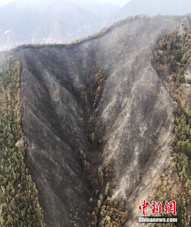 阅站漫画app最新版：免费搜索全网漫画，畅享多种便捷阅读体验