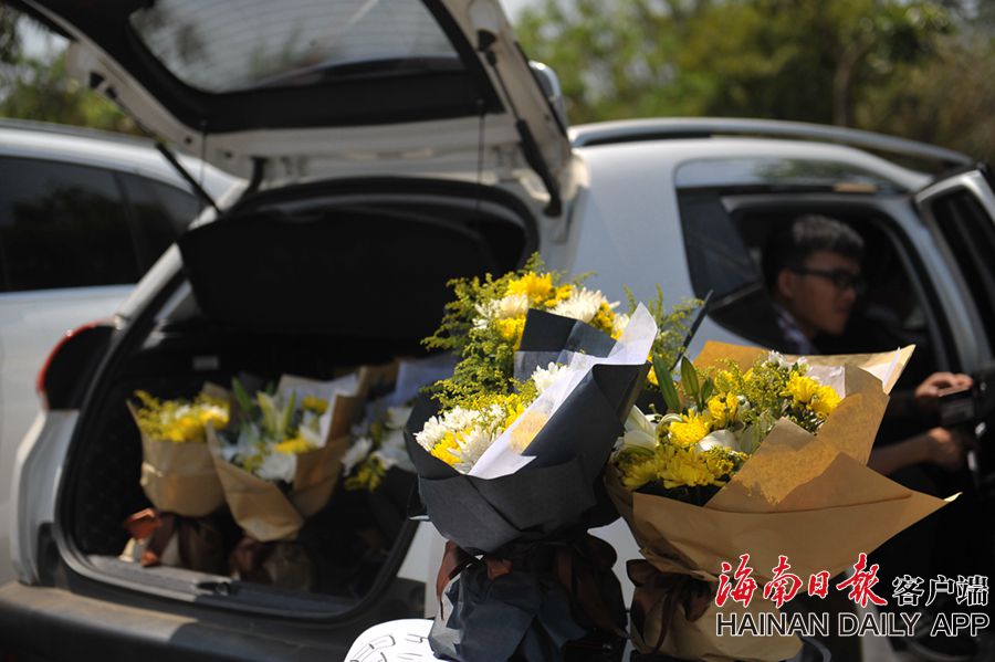 《海贼王第890集》在线观看