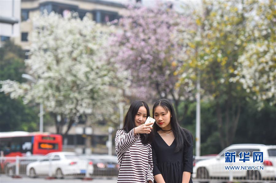 斗破苍穹老粉必看！正版免费观看渠道及支持正版的意义