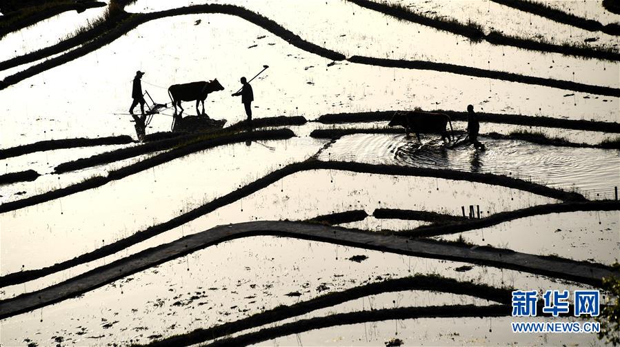 影视作品中万人迷反派为何更吸睛？如何塑造有魅力反派？