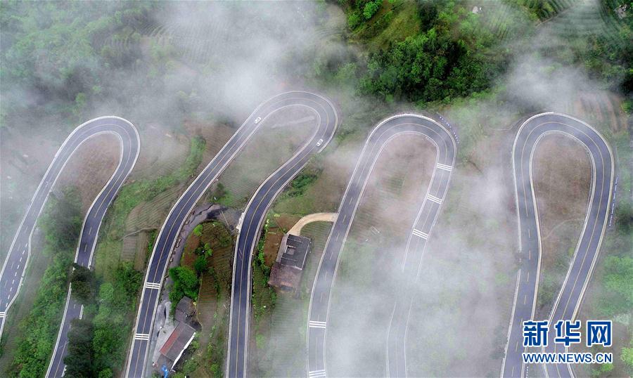 斗二绝世唐门免费观看