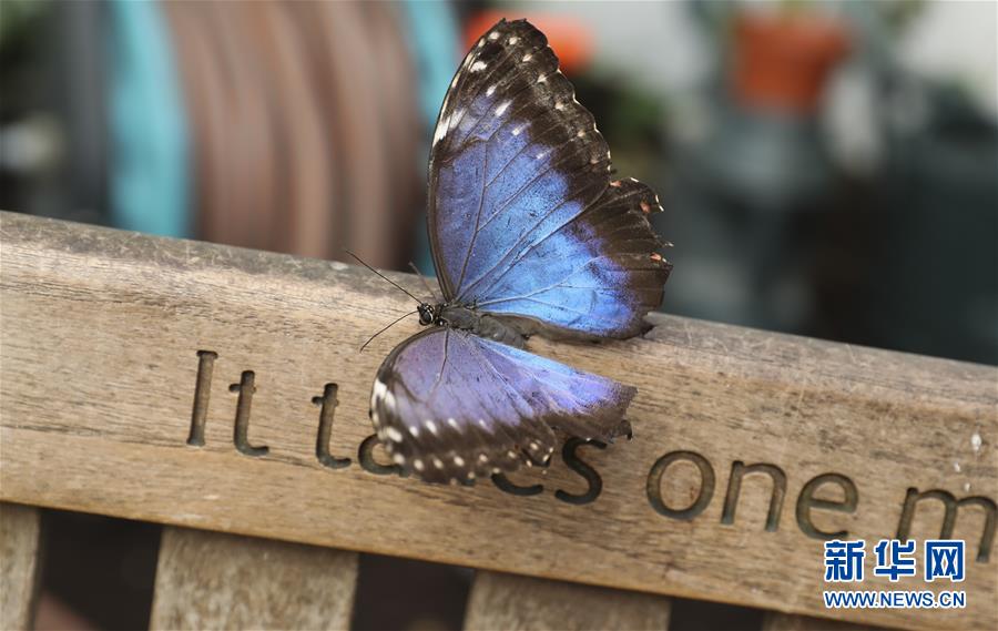 斗罗大陆漫画网站下滑式