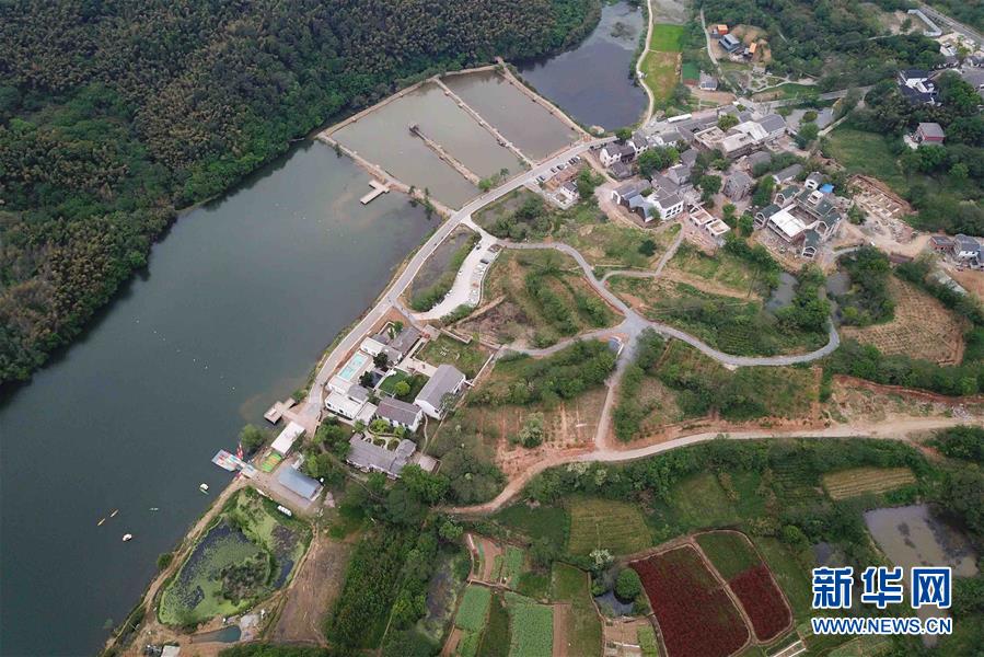《撒野》高清壁 图片