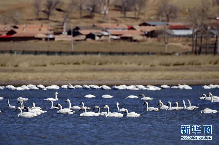 斗罗大陆下载txt全集下载