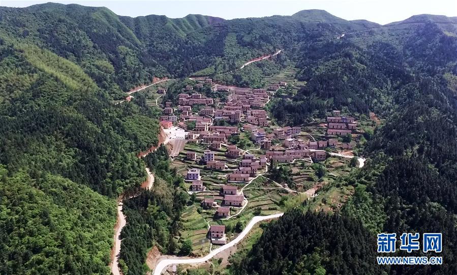 哔哩哔哩隐藏内容怎么找？特殊标签与搜索技巧是关键