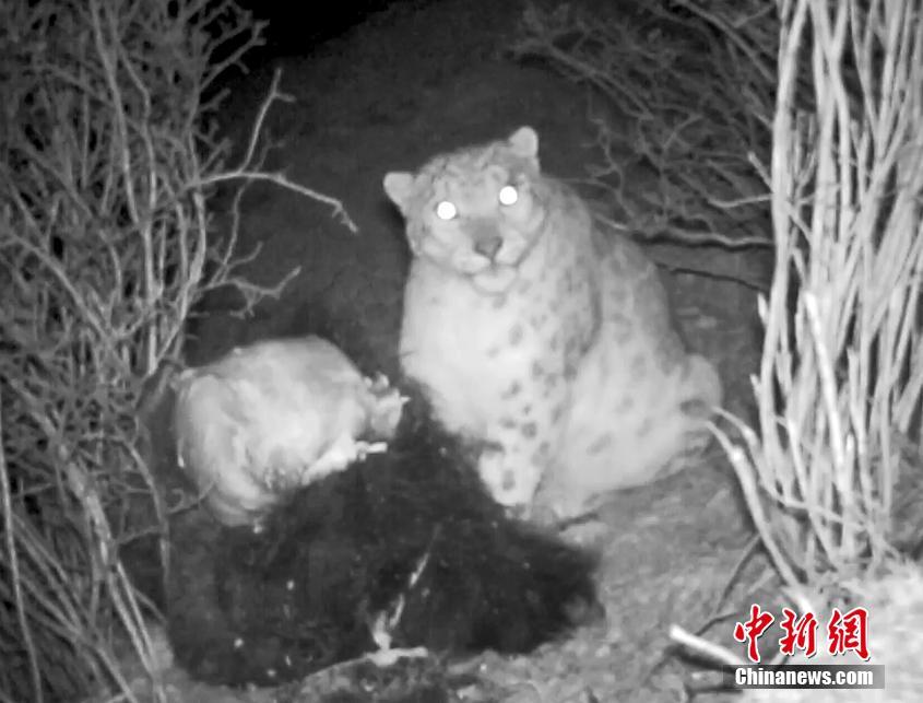 神武天尊漫画免费下拉