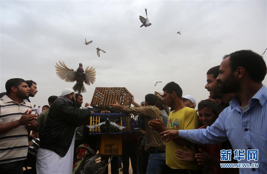 斗破苍穹老粉必看！正版免费观看渠道及支持正版的意义
