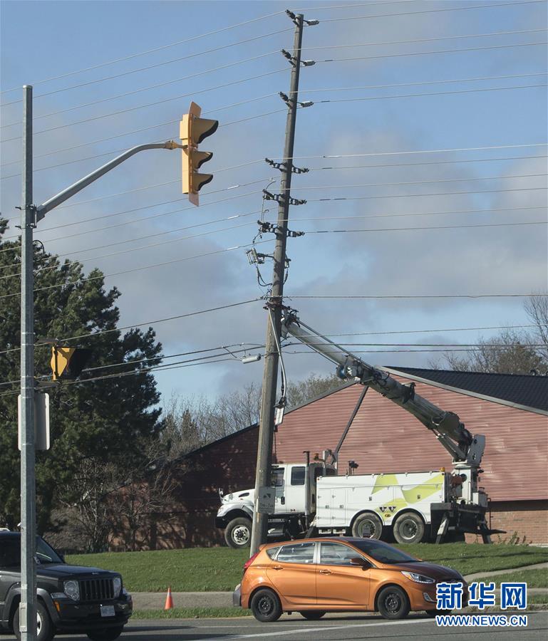 缘之空借兄妹情纠葛引发思索，为何对兄妹恋情描绘引争议？