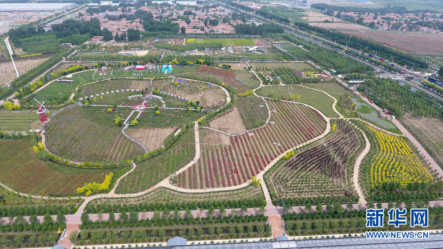 终结的炽天使漫画结局如何