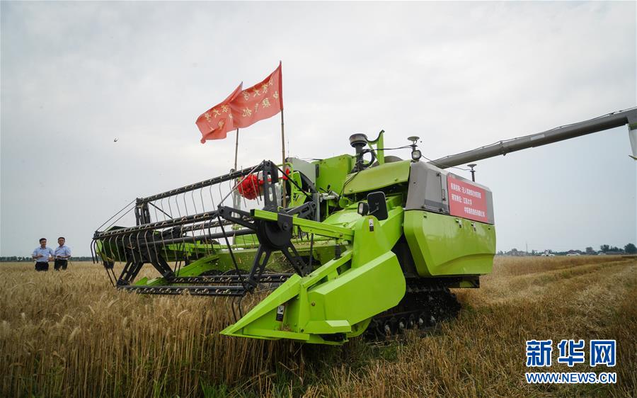 斗破苍穹老粉必看！正版免费观看渠道及支持正版的意义