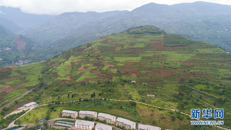 妖神记txt完整版下载