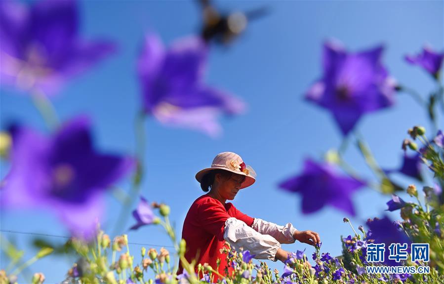 缘之空借兄妹情纠葛引发思索，为何对兄妹恋情描绘引争议？