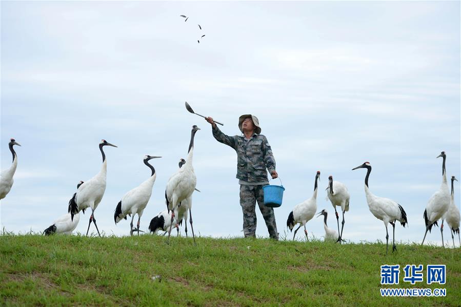 弱点漫画在线观看