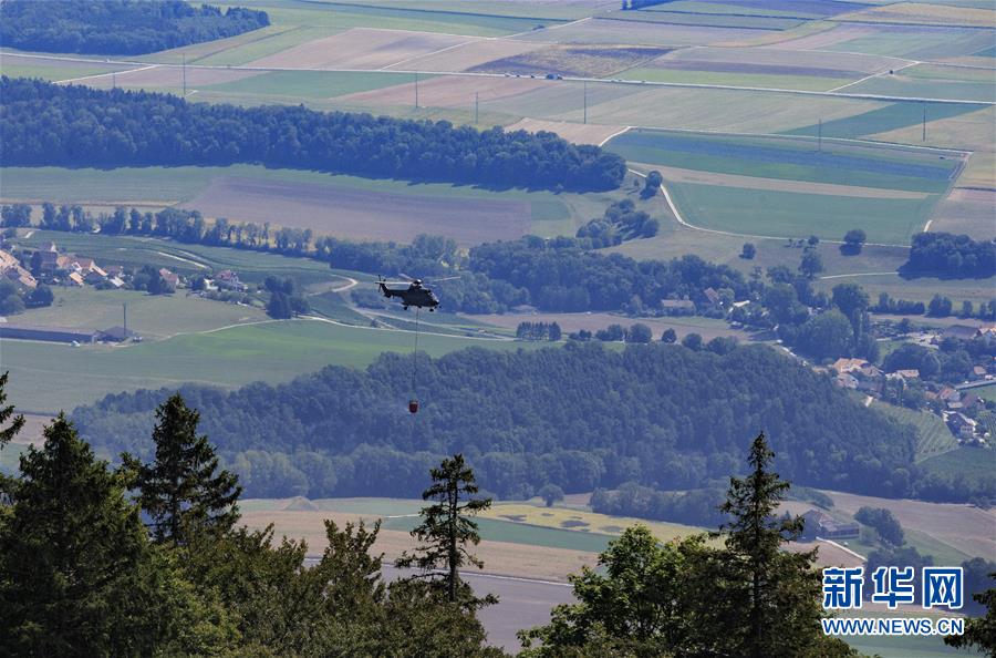 金代理的秘密免费漫画在线观看