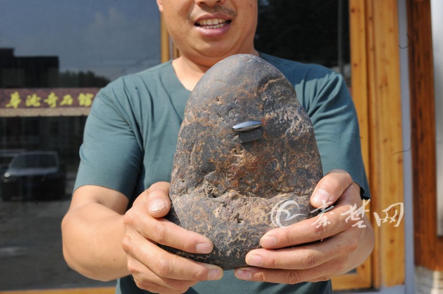 《海贼王第890集》在线观看