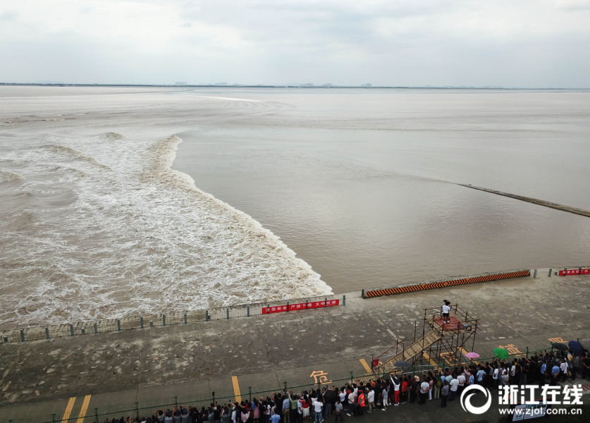 斗罗大陆图片人物小舞古风