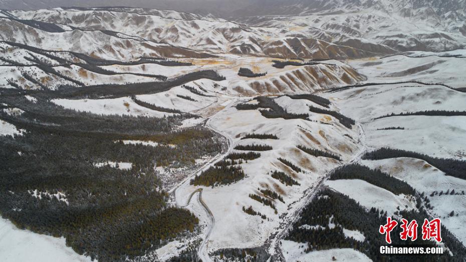 异世界搞笑冒险番为何吸引人？独特设定与反差角色是关键