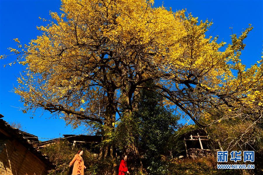 datealive 地铁逃生回归！biubiu免费加速，畅玩海量海内外精品手游