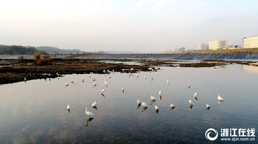 免费在线可阅读漫画成首选,却面临凯发k8国际首页登录的版权等难题待剖析?