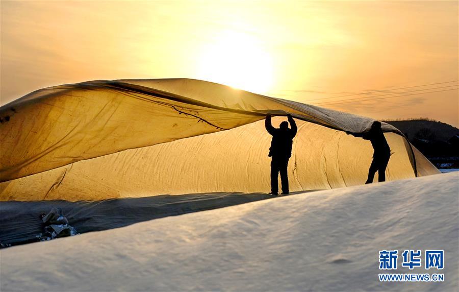 数字阅读普及下，韩漫免费观看的凯发k8国际首页登录的版权风险与安全提示