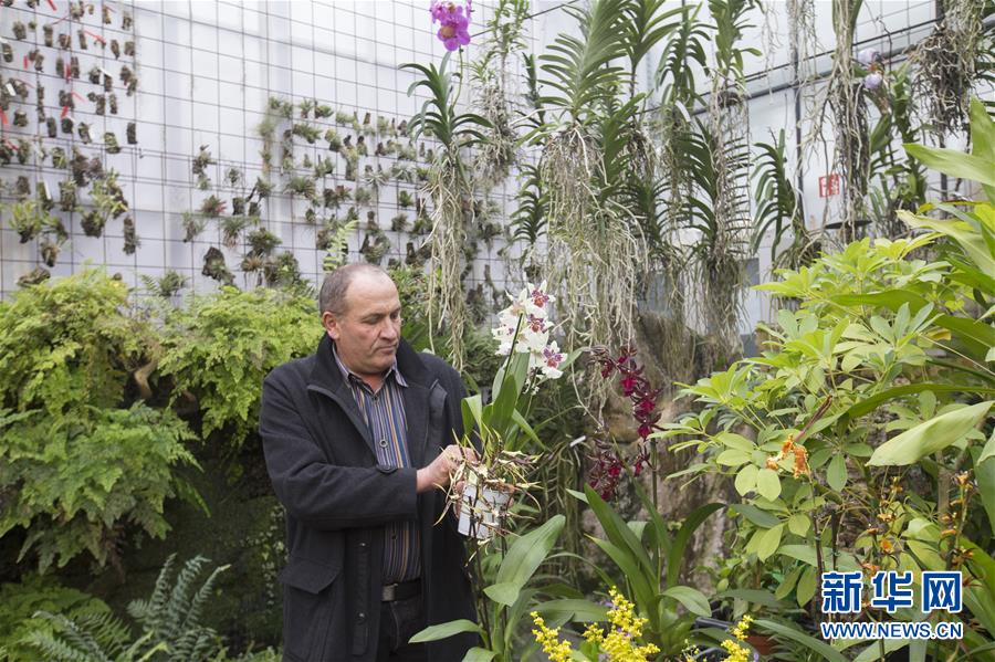 影视作品中万人迷反派为何更吸睛？如何塑造有魅力反派？