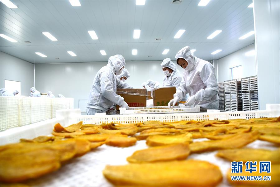 备受关注的死神230模型，设计与工艺究竟有多出色？