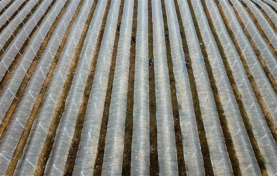 数字阅读普及下，韩漫免费观看的凯发k8国际首页登录的版权风险与安全提示